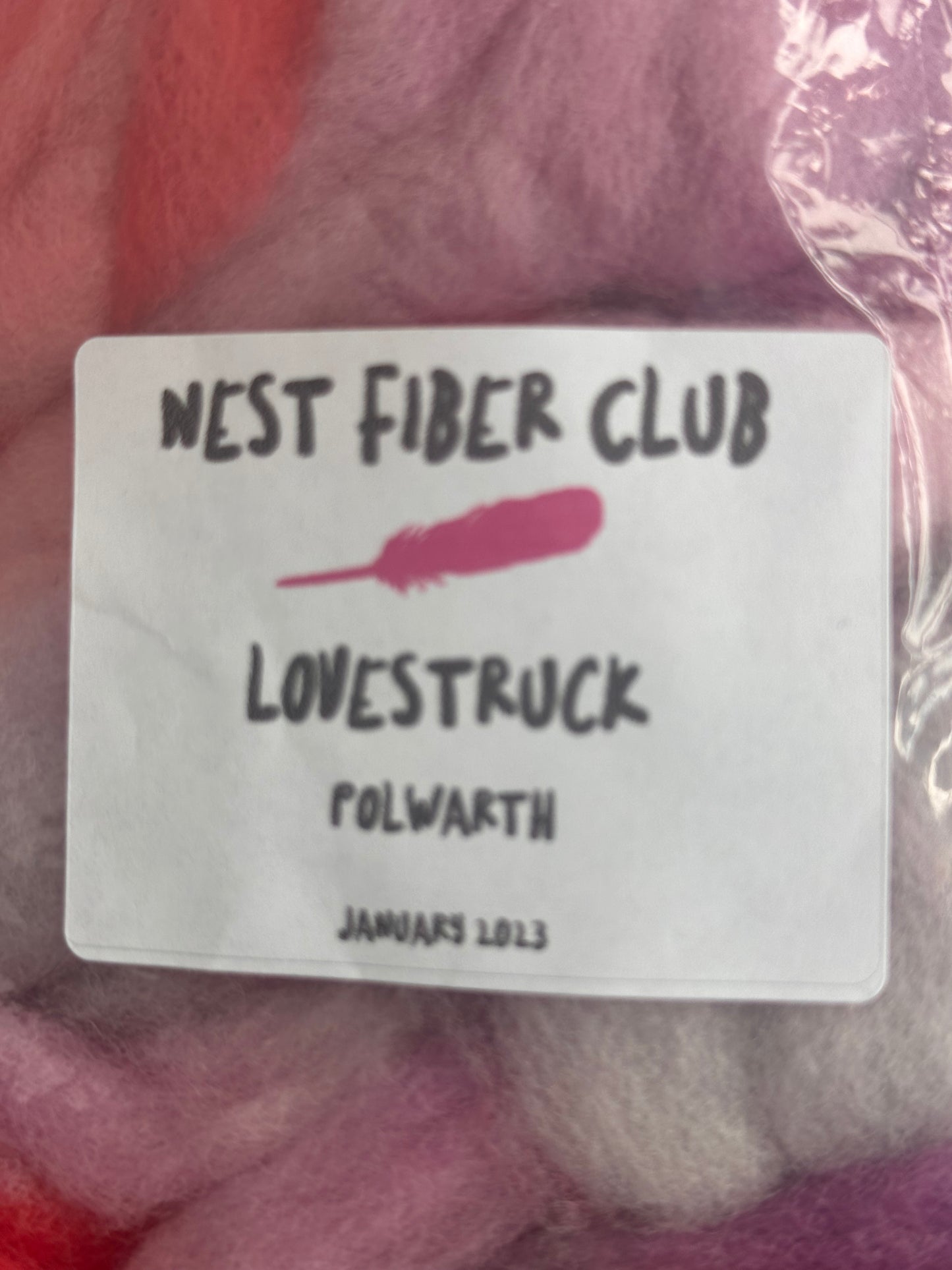 DESTASH - Nest Fiber Club - Polwarth fiber