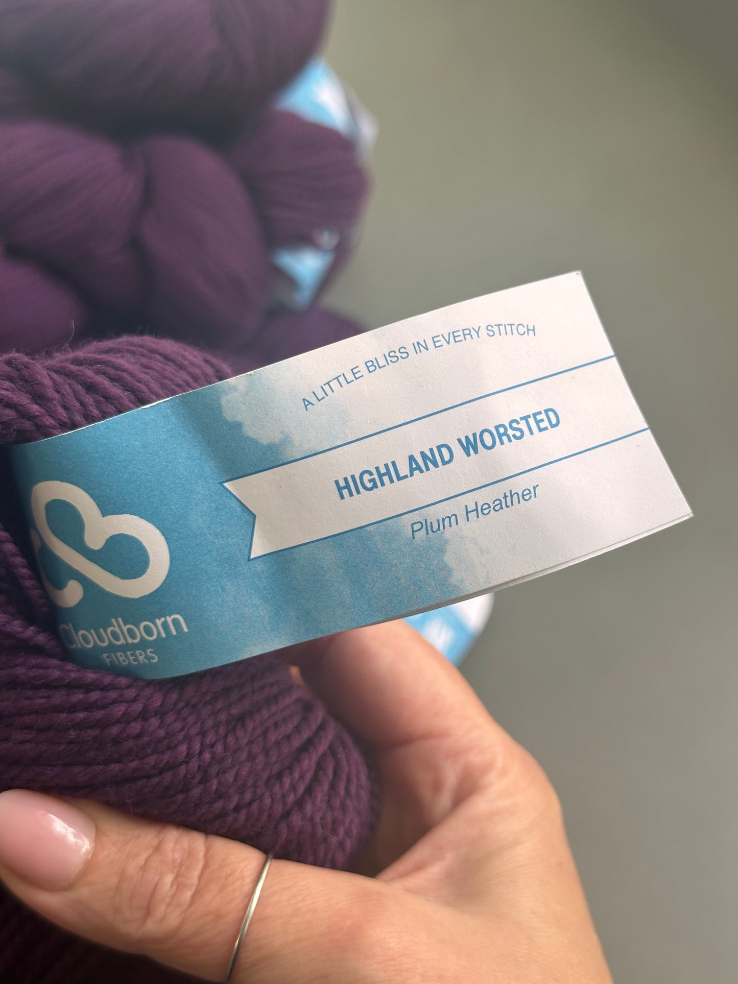 DESTASH - Cloudborn Highland Worsted Plum Heather - TEN skeins