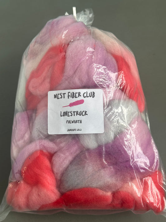 DESTASH - Nest Fiber Club - Polwarth fiber
