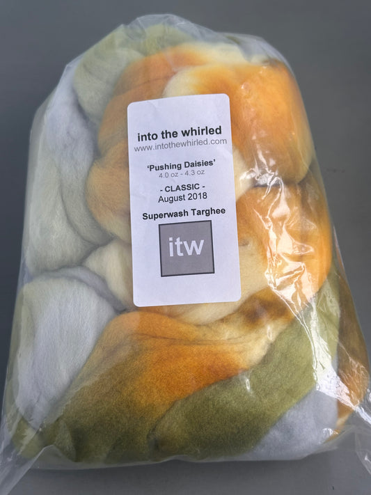 DESTASH - Into the Whirled 4oz Superwash Targhee Fiber - Pushing Daisies
