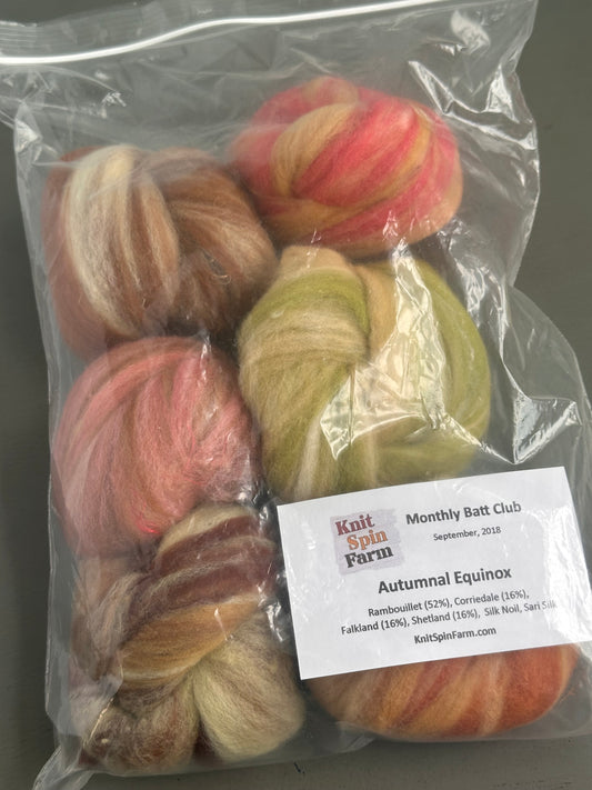 DESTASH - Knit Spin Farm - Autumnal Equinox Monthly Batt Club