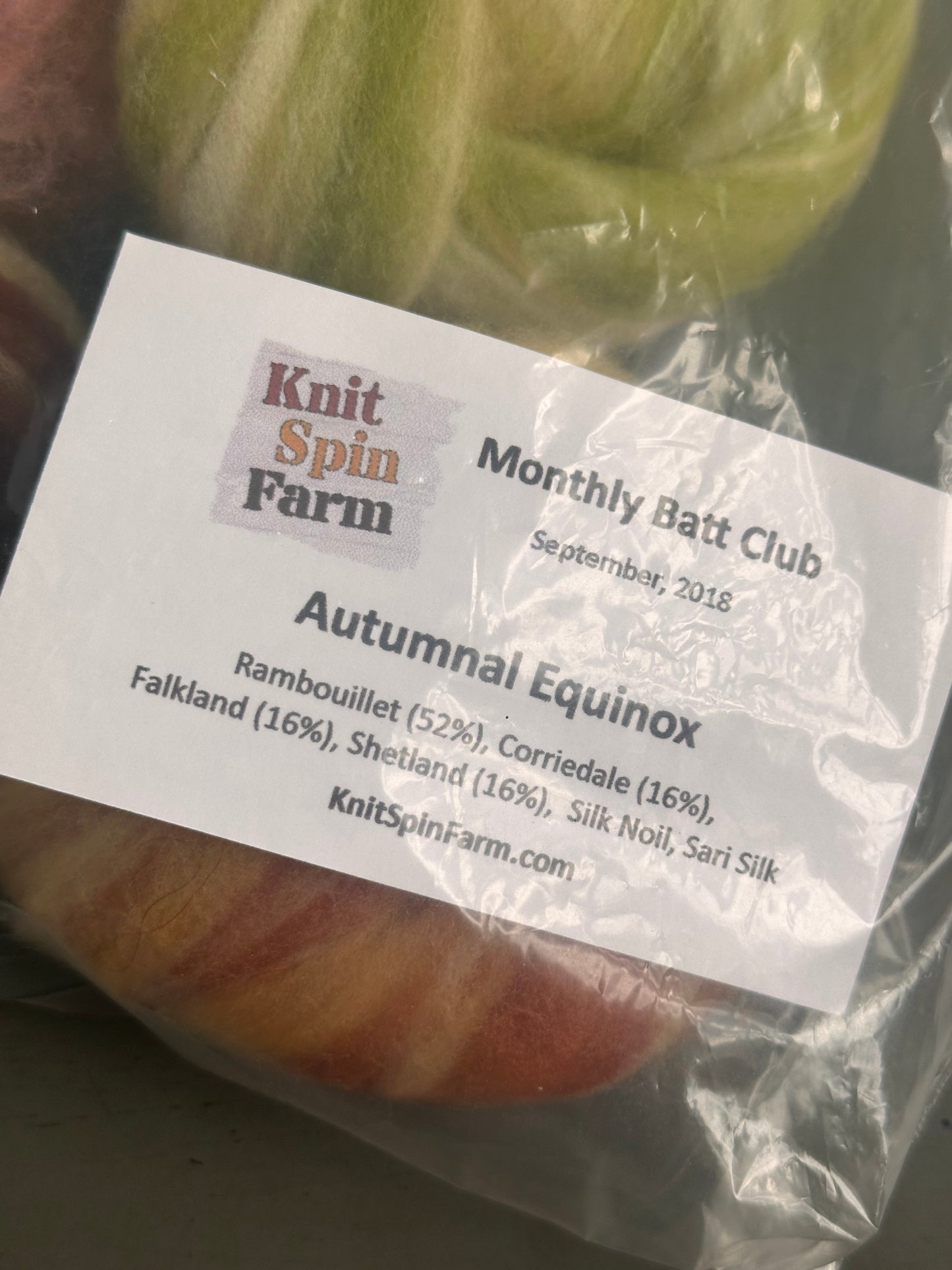 DESTASH - Knit Spin Farm - Autumnal Equinox Monthly Batt Club
