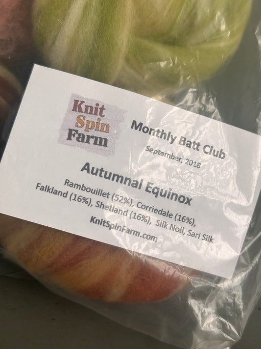 DESTASH - Knit Spin Farm - Autumnal Equinox Monthly Batt Club
